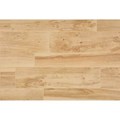 FP95-6x36